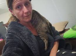 this is Koda my cat-dog by far the strangest loving cats I've ever met.