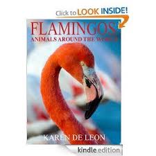 Free 6 9 Amazon Com Flamingos Animals Around The World Ebook Karen De Leon Kindle Store Amazon Kindle Books Free Kindle Books Kindle Books