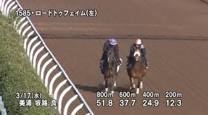 動物・野生生物 建物・都市 背景・テクスチャ ビジネス・金融 教育 食べ物・飲. Koglww6kt0ljxm