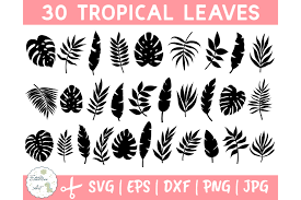 Download Clip Art Tropical Leaf Svg Files Palm Leaf Svg Bundle Cut Files Palm Leaves Svg Palm Leaf Clipart Silhouette Palm Leaf Png Cricut Svg Art Collectibles
