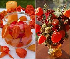 Centre De Table Naturel En Physalis Alkekengi Et Bougie Rouge Physalis Herbes Et Gousses De Graines Decoration Automne Idee De Decoration Deco Automnale