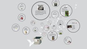The Giver Abc By The Giver On Prezi