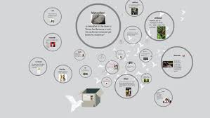 the giver abc by the giver on prezi