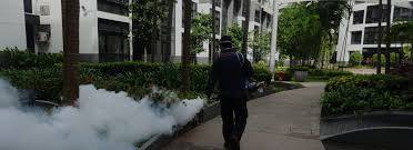 Our team is made up of a group. Pest Control Services Singapore Keeping Your Environment Safe