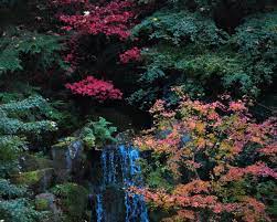 Portland Japanese Gardens In Fall Oc 6000x4000 Akajeremiah Https Ift Tt 2q1eh88 November 17 2018 Portland Japanese Garden Japanese Garden Nature Photography