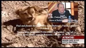 În circumstanțe speciale, o pedeapsă maximă de cel puțin 8 ani. Petition Find And Ask For Jail Time For The Dogs Killers From Berbesti Valcea Pedeapsa Maxima Pentru Ucigasii De Caini Din Berbesti Change Org