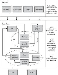 A Flowchart Of A Pastoral Dairy Farming System And