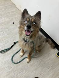 Greetings, my name is Moses,...