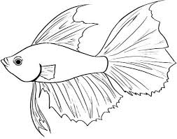 How To Draw A Fish Fish Art Easy Fish Drawing Sea Creatures Drawing