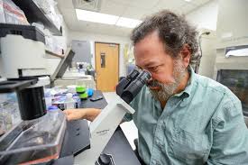 We did not find results for: Programs Veterinary Research College Of Veterinary Medicine University Of Florida