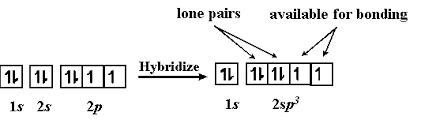 Hybrid Orbitals