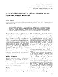 Image result for Momordica cabrae