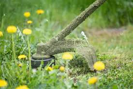 How to eliminate grass in garden. Do Weeds Kill Grass