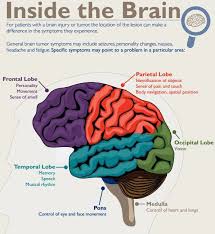 Basics Of Brain Tumors Brain Tumor Brain Tumor Symptoms Tumor