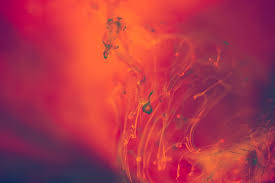 Hd Wallpaper Abstract Red And Orange Liquid Background Explosion Flow Ink Wallpaper Flare 5.3 1920x1200 11947 explosion, background. hd wallpaper abstract red and orange