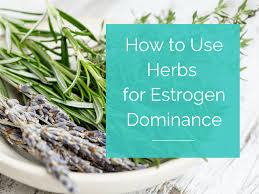 How To Use Herbs To Help Reverse Estrogen Dominance