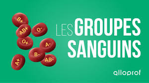 Si un parent porte l'allèle a et l'autre l'allèle o, le groupe sanguin de l'enfant sera a. Bien Etre Groupe Sanguin Abo Rhesus Compatibilite Qu Est Ce Que C Est Comment Ca Marche Pressfrom France