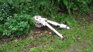 Diskutiere flugzeugabsturz in umea/schweden im flugunfälle und flugunfallforschung forum im bereich luftfahrzeuge allgemein; Absturz Eines F 16 Militarjet In Der Eifel Youtube