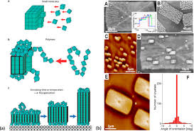 The Physics Of Polymer Chain Folding Sciencedirect