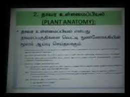 Botany 2 Plant Tissue Types Tamil Medium Youtube