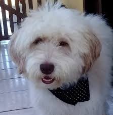 Charlie is always making friends😃