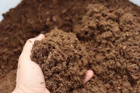 How to dig up a lawn. How To Dig A Garden By Hand Laptrinhx News