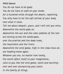 Mary Oliver The First Poem Of Hers That I Read Mary Oliver Joy And Sadness Mary Oliver Poems