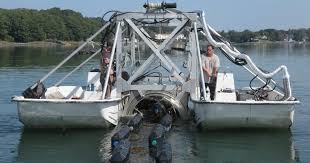 The distance between oludeniz city centre and. Countering Threats To Shellfish Production The Fish Site