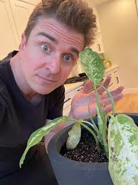 Too much water? How can I save it?