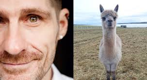 The Brilliant and Forever