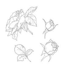 (as a general thing, i adore your. Rose Flower Outline Tattoo Vector Images Over 2 400
