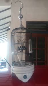 Model sangkar burung menyesuaikan ukuran dan pergerakan burung. Macam Macam Model Kandang Pleci Lengkap Binatang Peliharaan