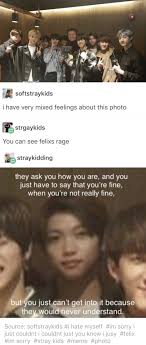 You Just Have To Say That You Re Fine Pin By A Spoon Full Of Suga Helps The On Stray Kids Kpop Memes Funny Kpop Memes Crazy Kids