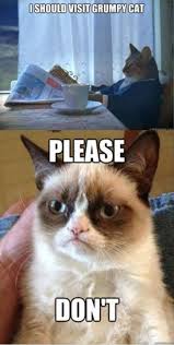 Please Dont Grumpy Cat Grumpy Cat Meme Funny Grumpy Cat Memes
