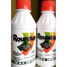 Anda memiliki 500 mili liter herbisida (racun rumput) merek dan jenis apapun, maka anda. Obat Pembasmi Rumput Sampai Akar Akarnya Herbisida Round Up Kemasan 200ml Shopee Indonesia
