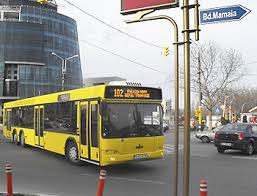 Rezultate pentru ▷ transport persoane ▷ în constanţa ; Transport Intern Litoral Linii De Transport