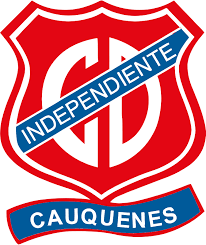 Así quedó tras la quinta fecha de la copa américa se terminó de jugar la quinta jornada de la copa américa 2021. Copa Chile Easy Campeonato Chileno