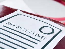 The O Positive And O Negative Blood Type Diet
