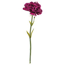 Whichever it may be, there are many reasons why artificial plants have become more popular in australia. Smycka Artificial Flower Carnation Dark Lilac Ikea
