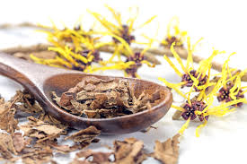 Infusion et tisane : Hamamélis, utilisations