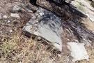 Image result for ‫جریان قطعه ۴۱ بهشت زهرا‬‎