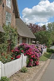 Friesenhaus 2 Friesenhaus Englische Landhausgarten Haus