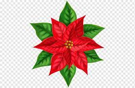 Hola todos!!,espero que les guste el video!!les dejo aqui debajo el link para obtener los moldes de la flor de pascua o noche buena.no olviden dejarme su lik. Flor De Pascua De Navidad Dibujo Dia De Navidad Joulukukka Pintura A La Acuarela Flor Planta Hoja Dia De Navidad Decoracion Navidena Dibujo Png Pngwing