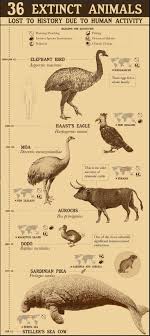 Extinct Animals On Twitter Extinct Animals Animals Animal Planet
