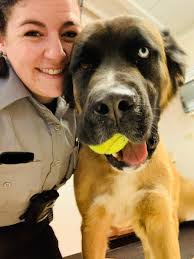 Arvada Police Department, Colorado