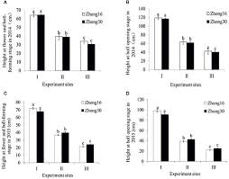 No native plants are similar to either alyssum species once flowering has begun. Frontiers Expression Of Bt Protein In Transgenic Bt Cotton Plants And Ecological Fitness Of These Plants In Different Habitats Plant Science