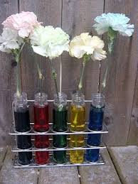 Place your flowers into the jars and allow to sit until you achieve the color you desire. Dying Flowers Science Experiments Kids Science Experiments Fun Science