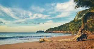 Anse De La Perle Travel Inspiration Beautiful Beaches Beach