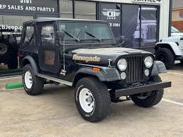 Image result for cj7