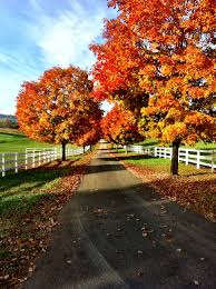 Charlottesville Virginia This Is What I Want To See Fall Travel Destination Autumn Destinations Fall Travel